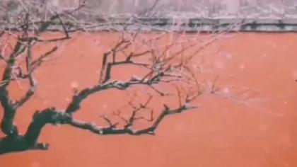 没有暖气和羽绒服，古人如何过冬？