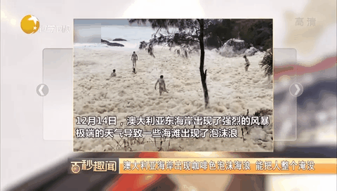 澳大利亚海岸出现咖啡色泡沫海浪 能把人整个淹没