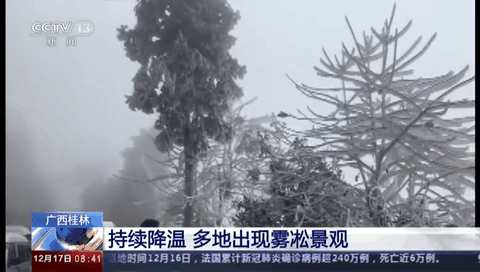 廣西桂林：持續降溫 多地出現霧凇景觀