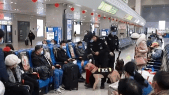 广西柳州：警犬上岗 守护春运安全