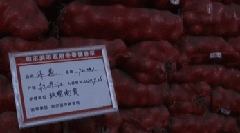 黑龙江：记者探访哈尔滨市冬春蔬菜储备库