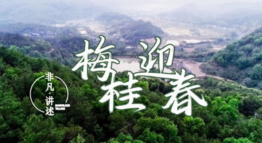 《非凡讲述》 之 梅桂迎春