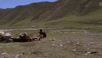 新疆和碩：近距離拍攝禿鷲“奪食大戰”