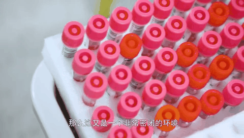 新华网带你探方舱实验室