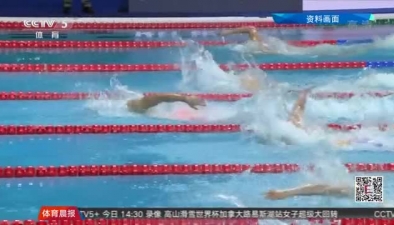 短池游泳世錦賽中國隊正式名單公布