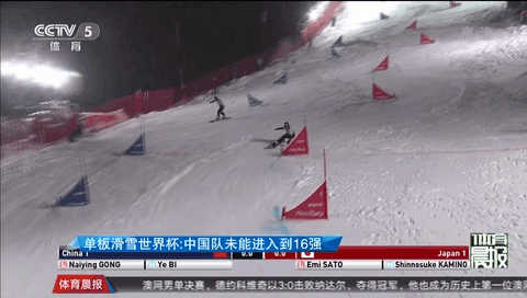 單板滑雪世界杯：中國隊未能進入到16強