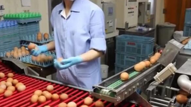 日本：雞蛋品質把關嚴 出口量創新高