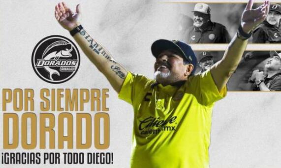 马拉多纳辞职安心治疗伤病