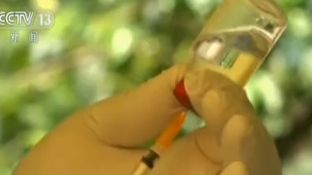 乌干达：世卫组织为民众接种埃博拉疫苗