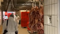 德國：肉聯廠聚集性感染人數升至730人