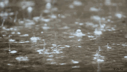 中央氣象臺發布暴雨黃色預警：京津冀降雨逐漸展開