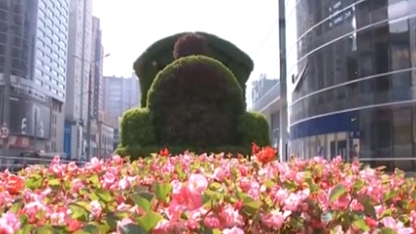 遼寧大連：國旗鮮花扮靚城市 姹紫嫣紅喜迎佳節