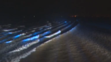 2020錢塘觀潮：錢塘江畔升明月 佔鰲塔下看夜潮