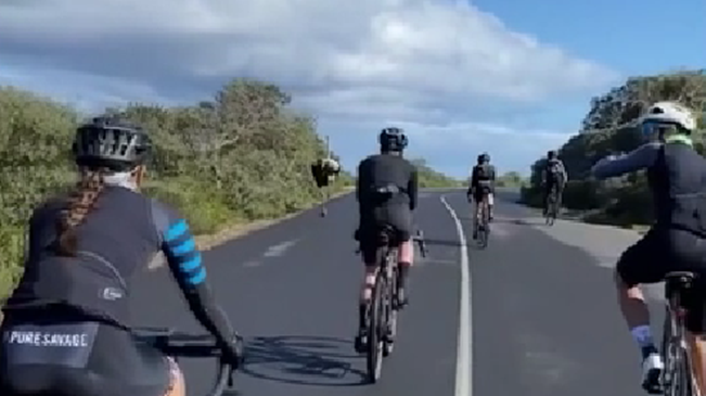 南非：鸵鸟陪跑自行车赛 飞奔追赶自行车手
