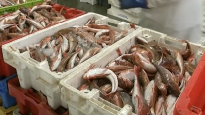 英欧贸易谈判需&ldquo;闯三关&rdquo;