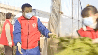 湖北武汉：数百名志愿者向石家庄捐赠50吨蔬菜