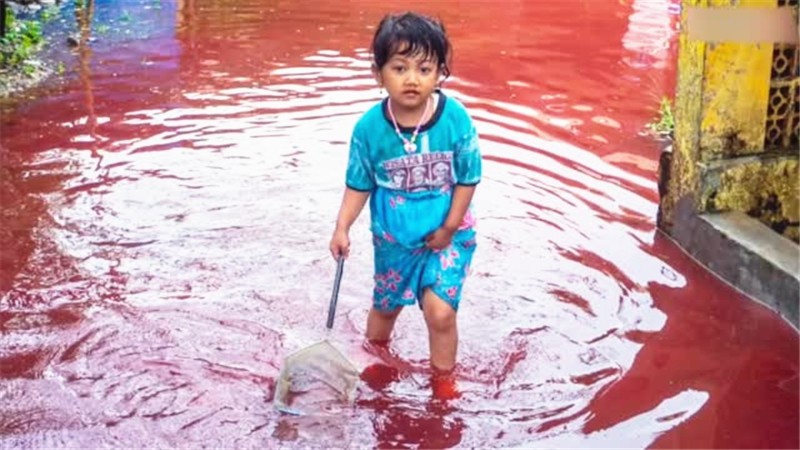 印尼小女孩在“血水”中玩耍 外国网友疯传 当地官员：“是真的”