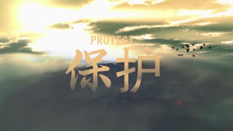 保护