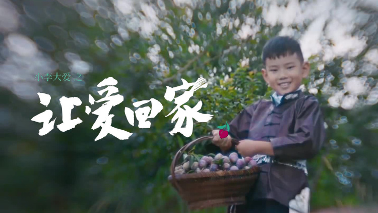 小李大爱之让爱回家