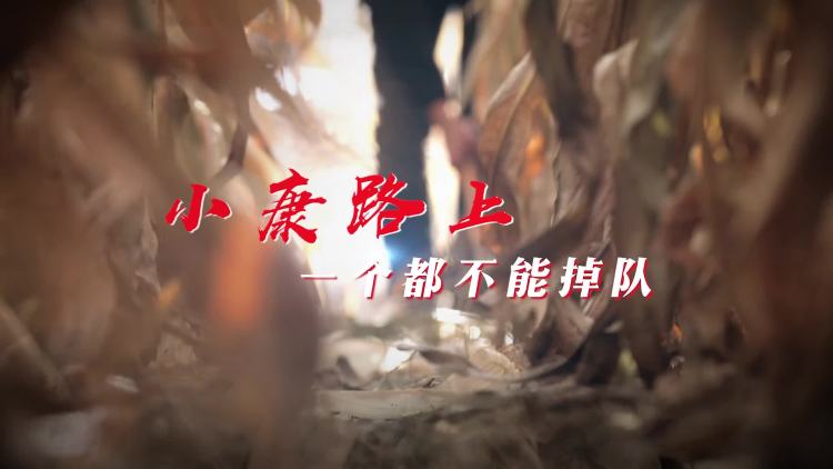 小康路上 一个都不能掉队