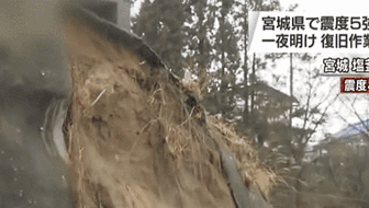 日本：宫城县附近海域发生6.9级地震