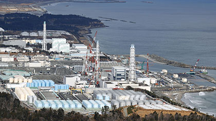 日本福岛海域鱼类因放射性物质超标被禁止上市
