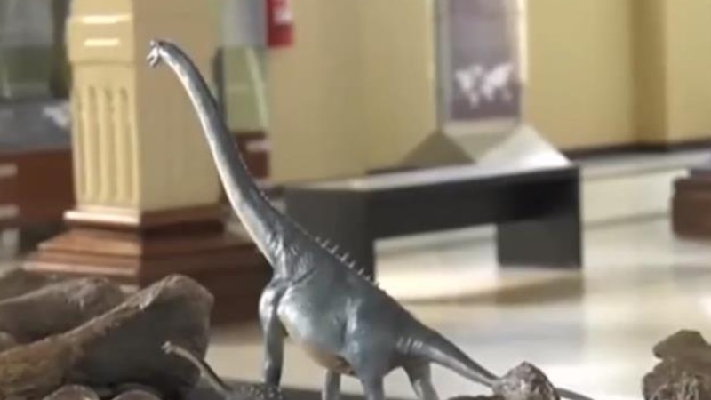 智利发现新恐龙物种