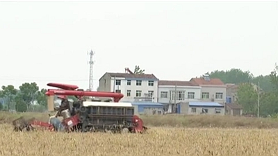 農業農村部：“三夏”大規模跨區機收將于5月底啟動