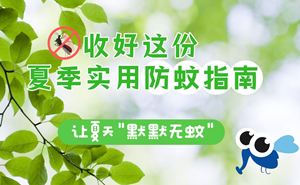 收好这份夏季实用防蚊指南！
