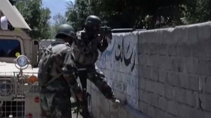 阿富汗：政府軍打死248名塔利班武裝人員