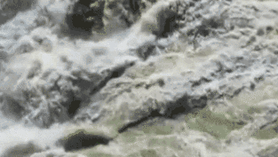 黄河壶口瀑布呈现“碧流飞瀑”景观