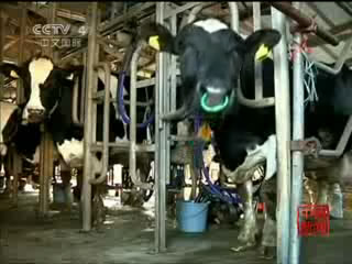 枝野亲尝西红柿 力推福岛农产品