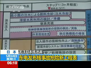 东电发布核事故抢险新工程表