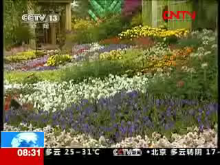 迎国庆：低碳环保理念成花坛设计亮点
