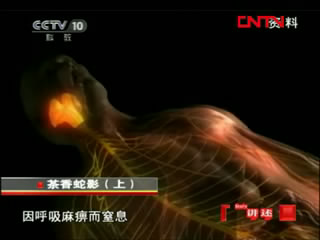 [讲述] 茶香蛇影（上）