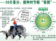 莺飞草长话春分