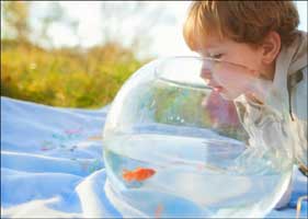 那些属于光和影的童年记忆 有你便晴天