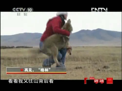 《讲述》训狼记