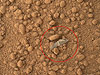 “好奇号”拍到火星表面飞船碎片