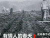 [焦点访谈]有情人的春天