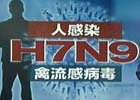 再问H7N9禽流感 从何而来？