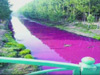 西孟姜女河因企業傾倒廢水變“血河”