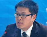 北京大学文化产业研究院副院长向勇