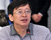 北京大学文化产业研究院常务副院长陈少峰