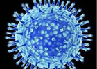 我國科學家破解H7N9病毒感染人奧秘