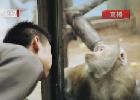 中国梦365个故事：动物园