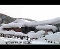 人文天下：新春游：美丽中国雪乡