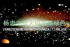 杨忠文让大山再添绿色