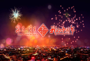 家在情在，我的春节