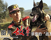 【新华图视】亲密的“战友”